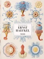 The Art and Science of Ernst Haeckel (GB/ALL/FR), HAECKEL-TRILINGUE