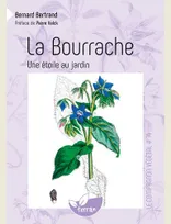 La Bourrache - Une étoile au jardin - Vol. 14