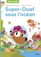 Super-Ouaf / Super-Ouaf sous l'océan, Super-Ouaf sous l'océan