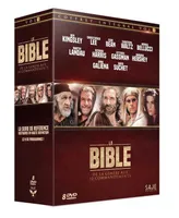 Coffret Intégral Volume 1 La Bible : Des premiers rois aux derniers prophètes  (coffret 5 DVD)