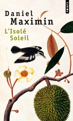 L'Isolé Soleil, roman