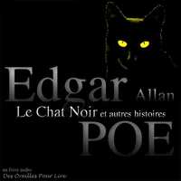 Le Chat Noir et autres histoires, Le Coeur révélateur, le Portrait ovale