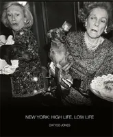 Daffyd Jones New York : High Life, Low Life /anglais