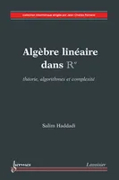 Algèbre linéaire dans Rn : théorie, algorithmes et complexité, théorie, algorithmes et complexité