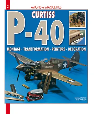 Curtiss P-40 Warhawk - montage, transformation, peinture, décoration, montage, transformation, peinture, décoration