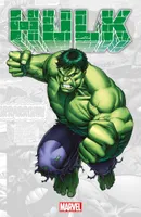Marvel-Verse : Hulk