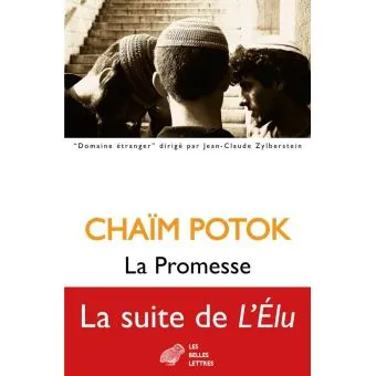 Livres Littérature et Essais littéraires Romans contemporains Etranger La Promesse Chaïm Potok
