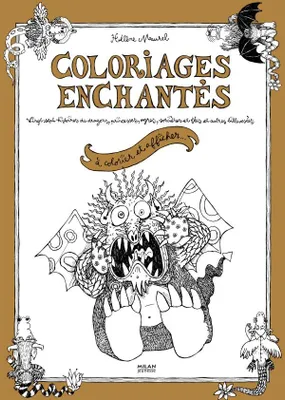 Coloriages enchantés, vingt-sept histoires de dragons, princesses, ogres, sorcières et fées et autres billevesées