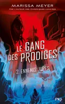 2, Le gang des prodiges tome 2, Ennemis jurés