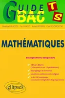 Mathématiques - Terminale S, guide pour la préparation au bac terminale S