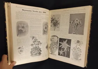 Le Petit Jardin. Journal pratique de Jardinage et de la Vie à la Campagne (1909 - 16e année)