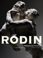 Rodin, Morceaux choisis
