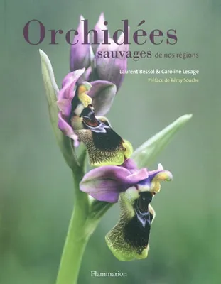 Orchidées sauvages de nos régions