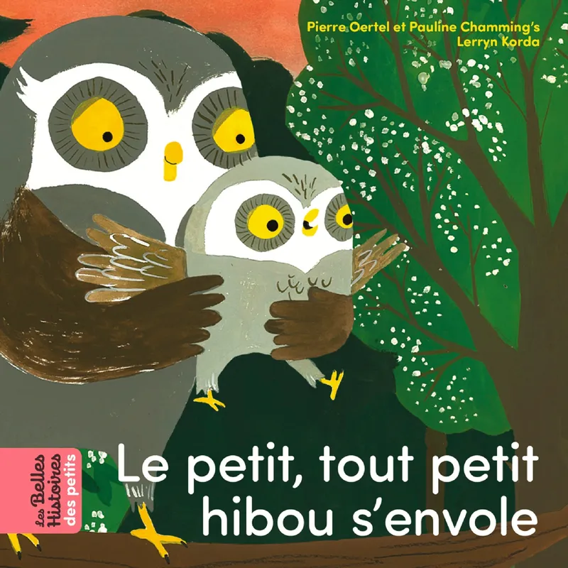 Livres Jeunesse de 3 à 6 ans Albums Le petit, tout petit hibou s'envole Pauline Chamming's, Pierre Oertel