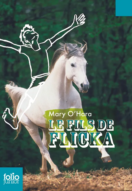 Livres Jeunesse de 6 à 12 ans Premières lectures Le fils de Flicka Mary O'Hara