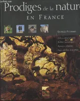 Prodiges de la nature en France : Arbres extraordinaires, rochers fantastiques, paysages fabuleux, faune et flore d'exception.