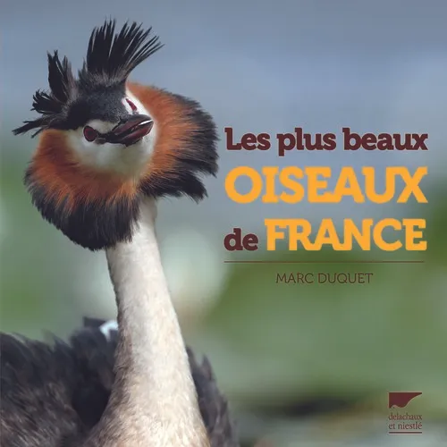 Livres Écologie et nature Nature Faune Les plus beaux oiseaux de France Marc Duquet