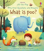WHAT IS POO ?