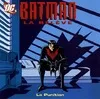 Batman, la relève, BATMAN LA RELEVE : LA PUNITION