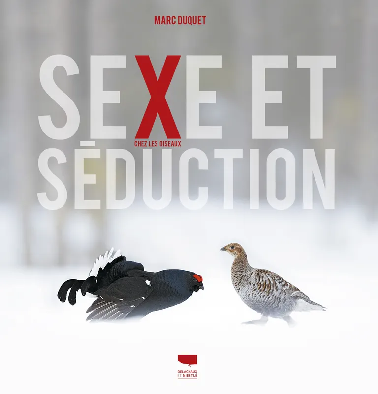 Livres Écologie et nature Nature Faune Sexe et séduction chez les oiseaux Marc Duquet