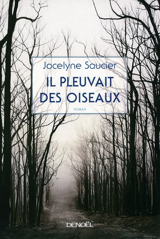 Livres Littérature et Essais littéraires Romans contemporains Francophones Il pleuvait des oiseaux Jocelyne Saucier