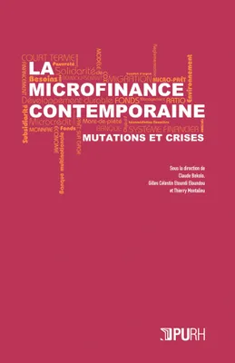 La microfinance contemporaine, Mutations et crises