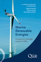 Marine Renewable Energies, Prospective Foresight Study for 2030