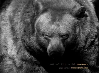 Out of the Wild /anglais