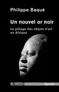 Un nouvel or noir, Le pillage des objets d'art en afrique