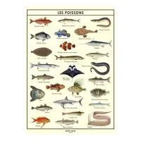 poster poissons