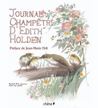 Le journal champêtre d'Edith Holden, [notes de la vie champêtre en 1906]