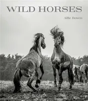 Alfie Bowen Wild Horses /anglais