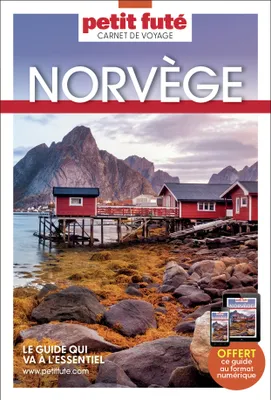 Guide Norvège 2024 Carnet Petit Futé