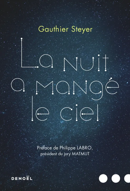 Livres Littérature et Essais littéraires Romans contemporains Francophones La nuit a mangé le ciel Gauthier Steyer