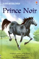 Prince Noir - La malle aux livres Niveau 3