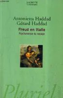 Freud en Italie, psychanalyse du voyage