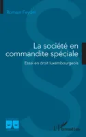 La société en commandite spéciale, Essai en droit luxembourgeois