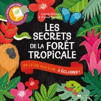Les secrets de la forêt tropicale