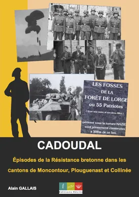 Cadoudal, Épisodes de la résistance bretonne dans les cantons de moncontour, plouguenast et collinée