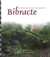 Bibracte, Archéologie d'une ville gauloise, archéologie d'une ville gauloise