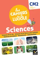 Les Cahiers de la Luciole CM2 - Ed. 2021 -  Sciences - Programme marocain