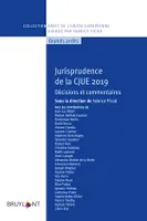 Jurisprudence de la CJUE 2019, Décisions et commentaires