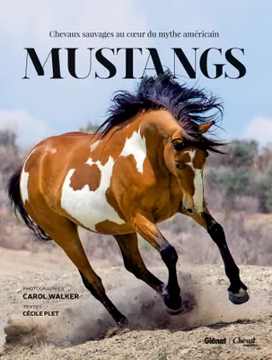 Mustangs, Chevaux sauvages au coeur du mythe américain