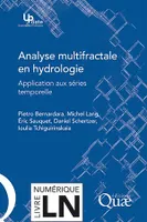 Analyse multifractale en hydrologie, Applications aux séries temporelles
