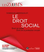 Le droit social, Droit du travail - Droit de la protection sociale - Véritable outil de travail pour apprendre et maîtriser les règles du droit social