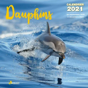 Dauphins / calendrier 2021 : de septembre 2020 à décembre 2021