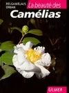 La beauté des camélias