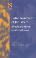 Entre Auschwitz et Jérusalem : Shoah sionisme et identité juive, Shoah, sionisme et identité juive