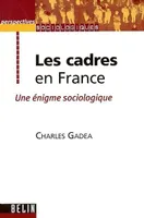 Les cadres en France, Une énigme sociologique