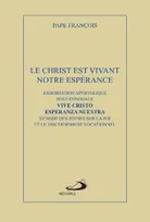 Le Christ est vivant, Exhortation apostolique post-synodale du saint-père françois aux jeunes et à tout le peuple de dieu